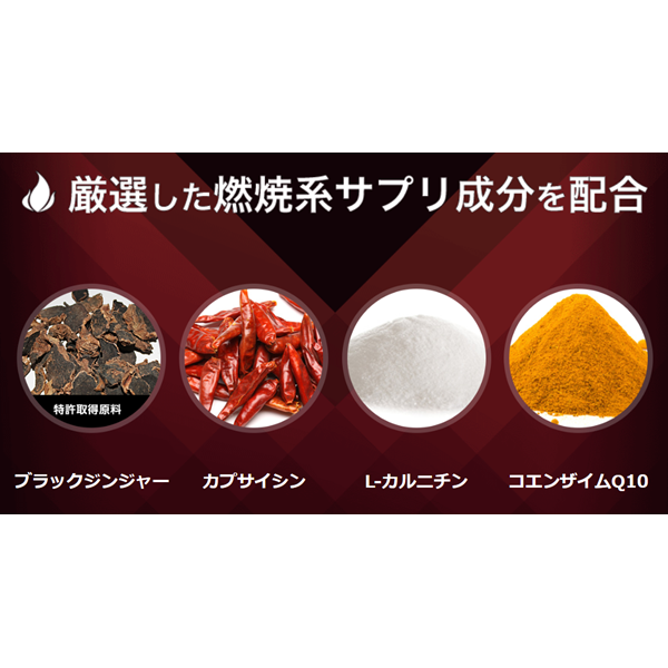 【定期配送】機能性表示食品”バーンアップDX”