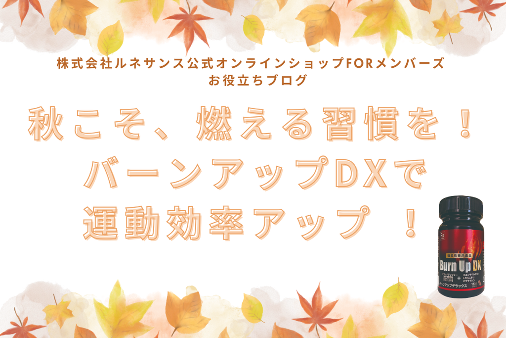 秋こそ、燃える習慣を！バーンアップDXで運動効率アップ ！