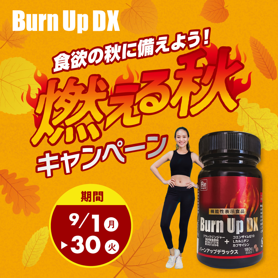 バーンアップDX – タグ付きの 