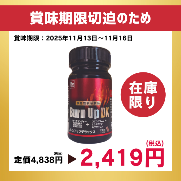 新品未開封! バーンアップデラックス 10個 バーンアップDX 新品未開封! バーンアップデラックス 10個 バーンアップDX