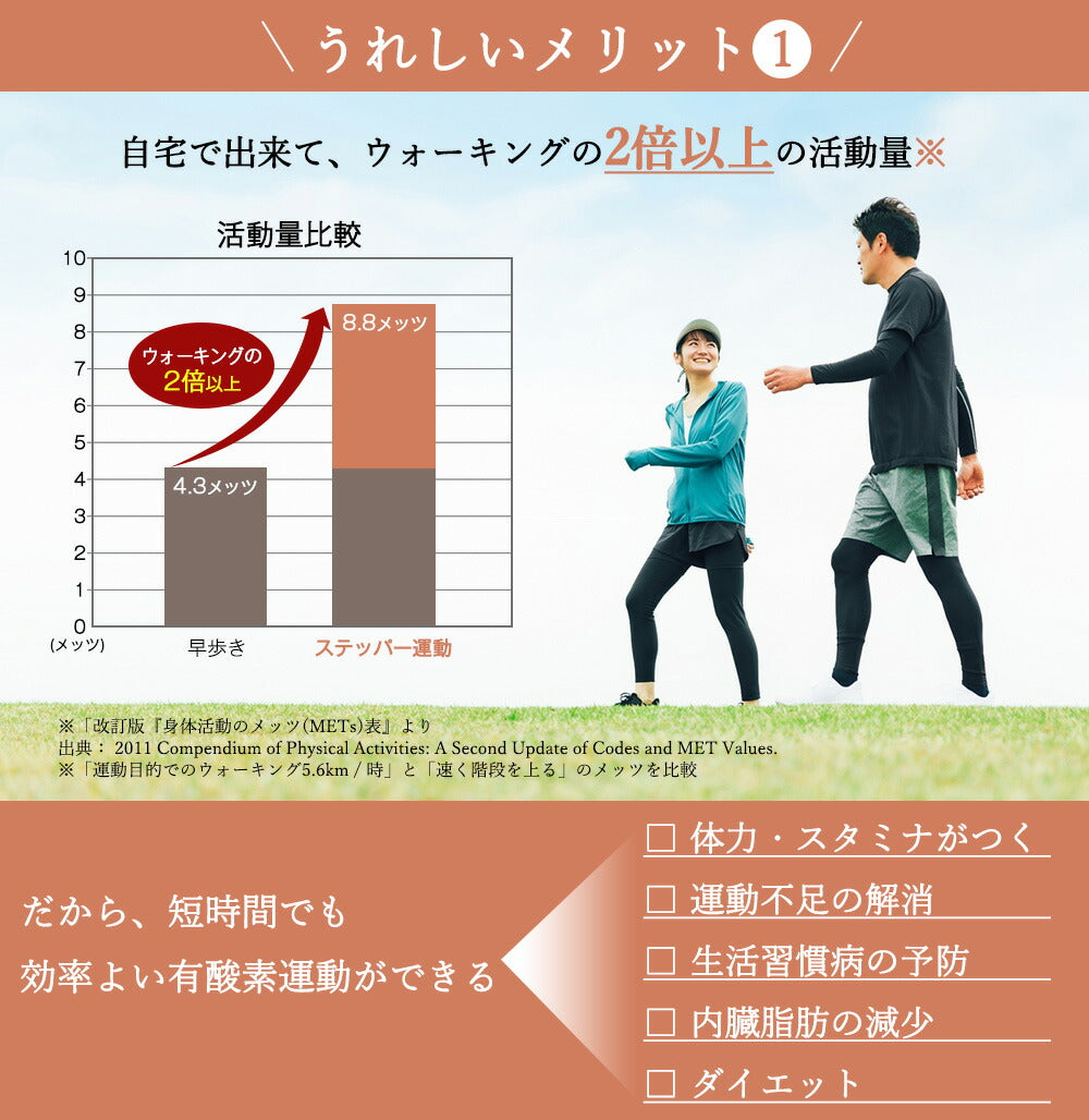 ツイストステッパー正規品】ツイストステッパーライト 負荷調節可能