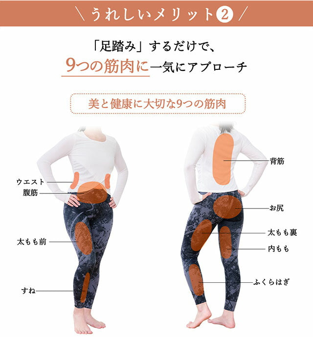 ツイストステッパー正規品】ツイストステッパーライト 負荷調節可能