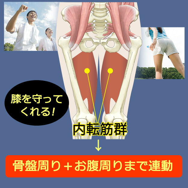スタイリーボール – 株式会社ルネサンス 公式オンラインショップ For