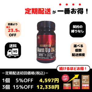 バーンアップDX 180粒 4個セット✩︎⡱ 機能性表示食品】バーンアップDX – 株式会社ルネサンス 公式