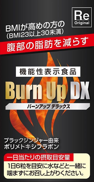 ルネサンス バーンアップDX Burn Up DX デラックス 180粒×3本 