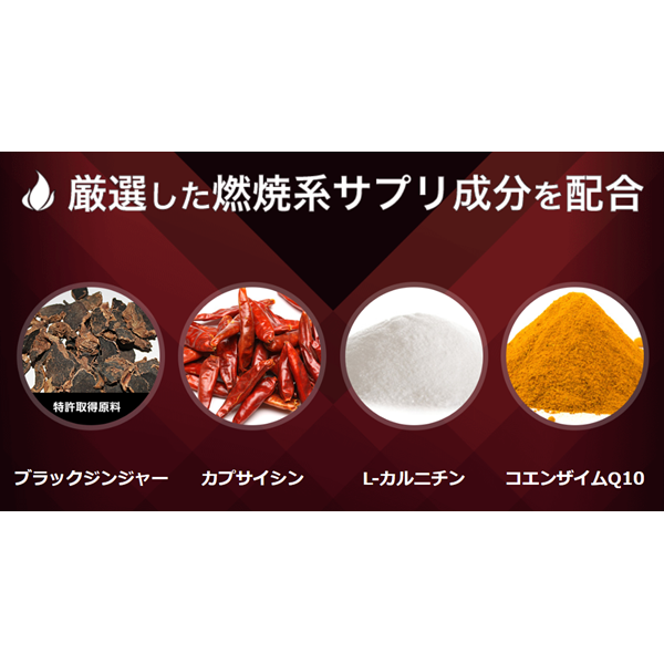 機能性表示食品】バーンアップDX – 株式会社ルネサンス 公式オンライン
